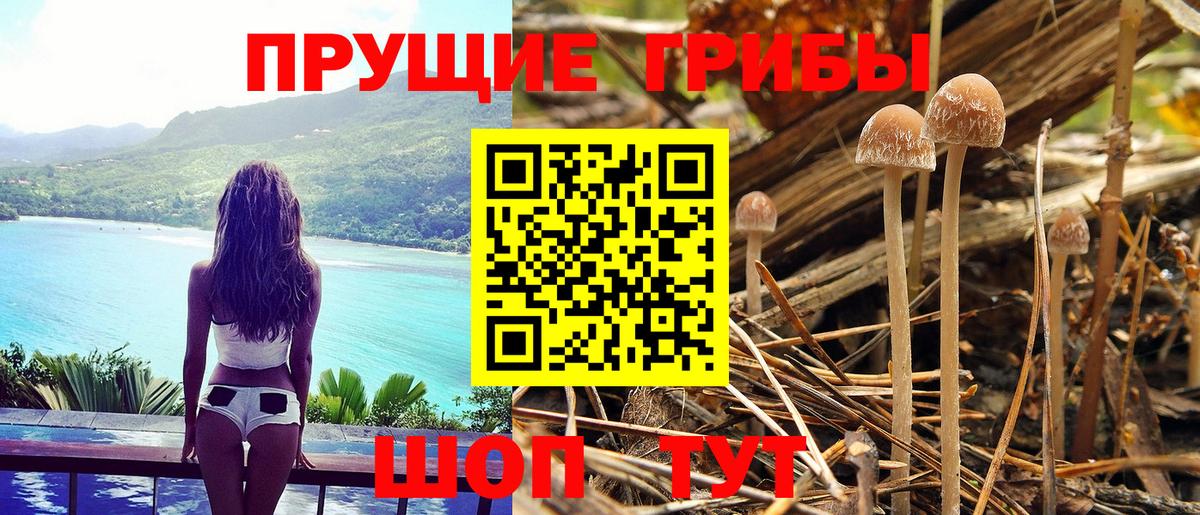 Псилоцибиновые грибы мухоморы  Вход с VPN  Старая Русса 